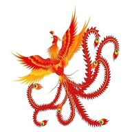 phoenix china for sale