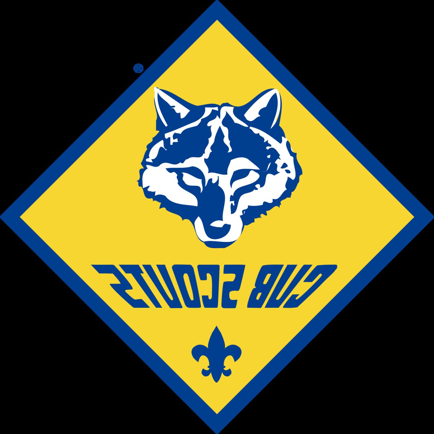 Second hand Wolf Cub Scout in Ireland | View 38 bargains