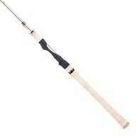 fenwick rod for sale