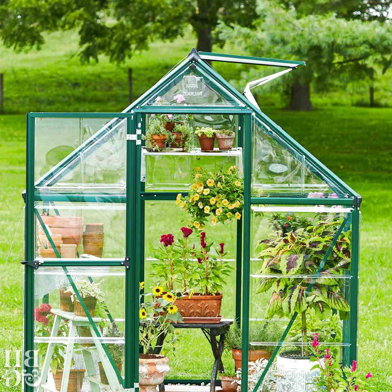 Second Hand Small Greenhouse In Ireland View 40 Ads   255a61c34207d783484b86d5263ac0c3 Small%2Bgreenhouse 