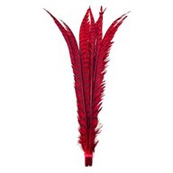 long feathers for sale